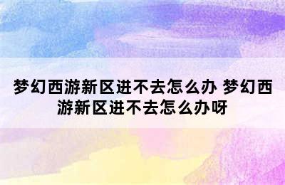 梦幻西游新区进不去怎么办 梦幻西游新区进不去怎么办呀